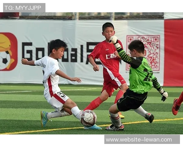 冰岛足球的崛起与挑战：小国如何在国际赛场上书写传奇故事